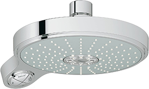 Bathroom Shower Heads