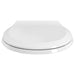 5503B00B.020 Parts & Maintenance/Toilet Parts/Toilet Seats
