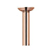 517-6/08A Parts & Maintenance/Bathtub & Shower Parts/Shower Arms