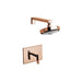 3-2544BP/08A Bathroom/Bathroom Tub & Shower Faucets/Shower Only Faucet Trim
