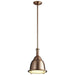 3-6202-25 Lighting/Ceiling Lights/Pendants