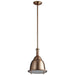 3-6202-25 Lighting/Ceiling Lights/Pendants