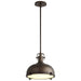 3-6203-22 Lighting/Ceiling Lights/Pendants
