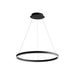 3-64-40 Lighting/Ceiling Lights/Pendants