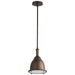 3-6202-22 Lighting/Ceiling Lights/Pendants