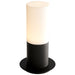 3-309-215 Lighting/Ceiling Lights/Flush & Semi-flush Lights