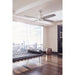 3-101-20 Lighting/Ceiling Lights/Ceiling Fans