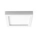 3-333-6 Lighting/Ceiling Lights/Flush & Semi-flush Lights