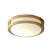 3-618-40 Lighting/Ceiling Lights/Flush & Semi-flush Lights