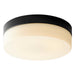 32-631-15 Lighting/Ceiling Lights/Flush & Semi-flush Lights