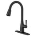 7617300.243 Kitchen/Kitchen Faucets/Pull Down Spray Faucets