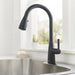 7617300.243 Kitchen/Kitchen Faucets/Pull Down Spray Faucets