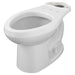 3437C101.020 Parts & Maintenance/Toilet Parts/Toilet Bowls Only