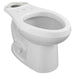 3437C101.020 Parts & Maintenance/Toilet Parts/Toilet Bowls Only