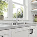 7617300.002 Kitchen/Kitchen Faucets/Pull Down Spray Faucets