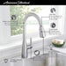 7617300.002 Kitchen/Kitchen Faucets/Pull Down Spray Faucets