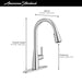 7617300.002 Kitchen/Kitchen Faucets/Pull Down Spray Faucets