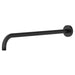 1660118.243 Parts & Maintenance/Bathtub & Shower Parts/Shower Arms