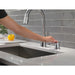 RP101850ARPR Kitchen/Kitchen Sink Accessories/Kitchen Soap & Lotion Dispensers