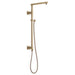 58420-CZ-PR Bathroom/Bathroom Tub & Shower Faucets/Handshowers