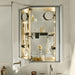MR2436D4FPE2 Bathroom/Medicine Cabinets & Mirrors/Medicine Cabinets