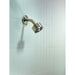 48497821 Bathroom/Bathroom Tub & Shower Faucets/Showerheads