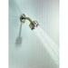 48497821 Bathroom/Bathroom Tub & Shower Faucets/Showerheads