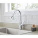 G0040164 Kitchen/Kitchen Faucets/Pull Down Spray Faucets