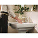 S6981EWNL Bathroom/Bathroom Sink Faucets/Hands Free Faucets