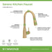 SK2302BBZPD Kitchen/Kitchen Faucets/Pull Down Spray Faucets