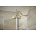 RP100325PN Parts & Maintenance/Bathtub & Shower Parts/Shower Arms