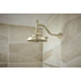 RP100325PN Parts & Maintenance/Bathtub & Shower Parts/Shower Arms