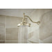 RP100325PN Parts & Maintenance/Bathtub & Shower Parts/Shower Arms