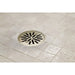BT061414-PN Parts & Maintenance/Bathtub & Shower Parts/Bathtub & Shower Drains