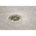 BT061414-PN Parts & Maintenance/Bathtub & Shower Parts/Bathtub & Shower Drains