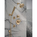 55140-CZ-PR Bathroom/Bathroom Tub & Shower Faucets/Handshowers