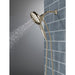54910-PN-PR-PK Bathroom/Bathroom Tub & Shower Faucets/Handshowers
