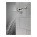 52535-SS-SS Bathroom/Bathroom Tub & Shower Faucets/Showerheads