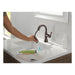 597-RBPD-DST Bathroom/Bathroom Sink Faucets/Single Hole Sink Faucets