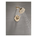 T14289-CZ-PR Bathroom/Bathroom Tub & Shower Faucets/Tub & Shower Faucet Trim