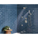 55140-SS-PR Bathroom/Bathroom Tub & Shower Faucets/Handshowers