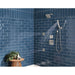 55140-SS-PR Bathroom/Bathroom Tub & Shower Faucets/Handshowers