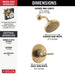 T14235-CZ Bathroom/Bathroom Tub & Shower Faucets/Shower Only Faucet Trim