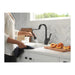 9678-BL-DST Kitchen/Kitchen Faucets/Bar & Prep Faucets