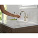 597-PNPD-DST Bathroom/Bathroom Sink Faucets/Single Hole Sink Faucets