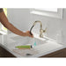 597-PNPD-DST Bathroom/Bathroom Sink Faucets/Single Hole Sink Faucets