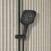 265522430 Bathroom/Bathroom Tub & Shower Faucets/Handshowers