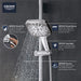 265522430 Bathroom/Bathroom Tub & Shower Faucets/Handshowers