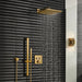26570GN0 Bathroom/Bathroom Tub & Shower Faucets/Showerheads