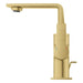 23857GN1 Bathroom/Bathroom Sink Faucets/Single Hole Sink Faucets